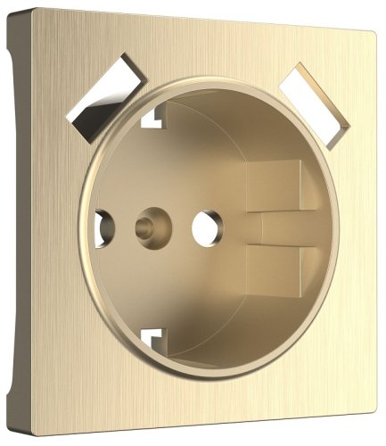 Лицевая панель Werkel для 1-м. розетки 220В+2хUSB шампань рифленый картинка